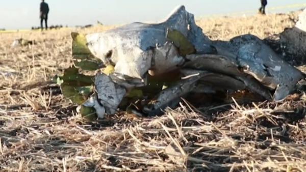 埃塞俄比亚客机坠毁现场曝光，曾要求返航