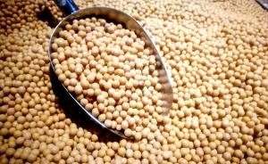 菲律宾：批准一例转基因大豆和一例转基因玉米用于食品和饲料