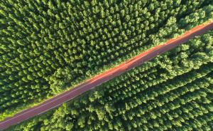 国家林业和草原局局长张建龙：书写新的绿色奇迹