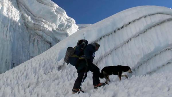小狗尾随登山队爬喜马拉雅山，它登顶了