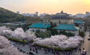 舍与得：武汉大学的“樱花账单”