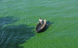 环境部：太湖滇池洱海等地气温利于蓝藻发生，各地要积极防控