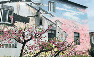 一片又一片粉色花海，上海将实时播报各主要桃花花期