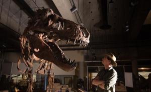 加拿大团队确认“暴龙中的暴龙”化石：体长13米，30多岁