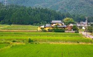日本的乡村问题：“逆城市化”是最后的选择吗？