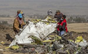 美媒：埃航波音737MAX空难或由鸟类撞击导致