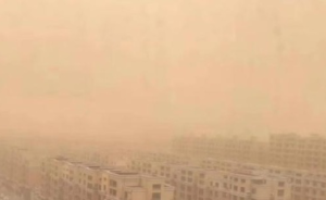 辽宁沈阳发布沙尘暴黄色预警，大连等地有7到8级大风