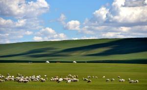 内蒙古公布整治旅游无序开发侵占草原等问题方案