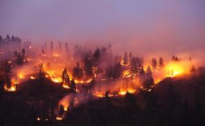 我们分析了近十万起森林火灾数据，发现近9成是人祸