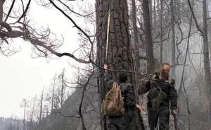 木里森林火灾确认为雷击火，着火点为一棵80年树龄云南松