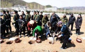 北京顺义区奖励自然葬，两年内安葬75名逝者