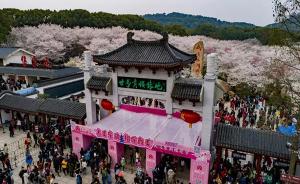 武汉东湖樱花园4月8日起闭园，今年赏樱季接待120万游客