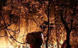 四川调集数百名搜救、灭火和医疗救援人员赴木里森林火灾现场