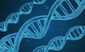 世卫、欧委会、毒理学会……国际权威组织如何看待转基因？