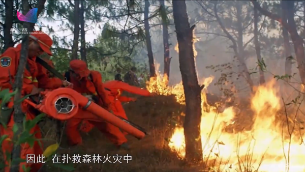 专业消防队员是如何扑火森林火灾的？