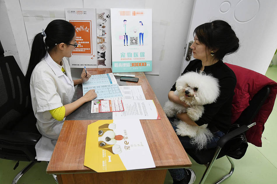 01-VCG1112061426702019年4月10日，在长春市一家宠物店，一位宠物主人为自家爱犬购买保险。近年来，随着饲养宠物人群的增多，宠物保险正悄然流行起来。