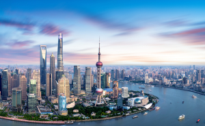 上海高质量发展调研行｜世界银行向全球推荐上海这个单一窗口