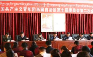 共青团西藏自治区委新设“深化共青团改革”等8个专门委员会