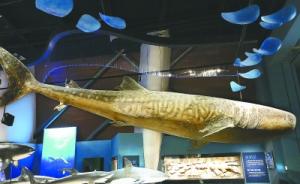 “海上故宫”国家海洋博物馆将于5月1日起免费试开馆