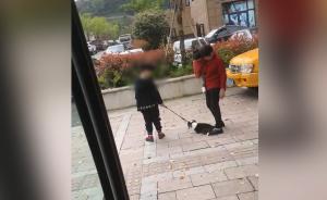 男童拖狗遭舆论攻击，宠物店：是狗不走