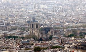 法国木材公司：已准备好为巴黎圣母院重建提供最好的橡木