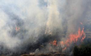 陕西商洛市大荆镇4.16森林火灾：2名遇难群众遗体被找到