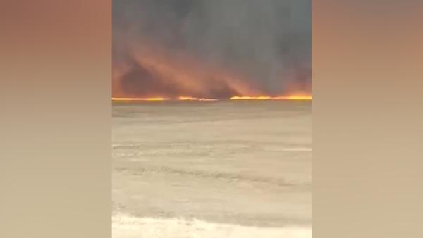 呼伦贝尔草原发生入境火灾，森林消防扑救