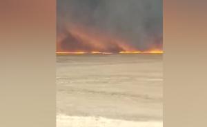 呼伦贝尔草原发生入境火灾，森林消防扑救