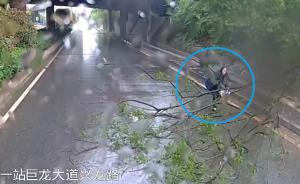 大树被吹倒堵路，武汉女司机赤手拖走