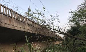砍倒一棵大树逼停28趟高铁，武汉一村民被处7日行政拘留