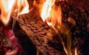 巴黎圣母院烧焦木头被挂网上拍卖，网友批“发国难财”