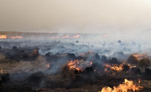 呼伦贝尔地区俄罗斯草原火灾再次入境，千余人扑救阻截