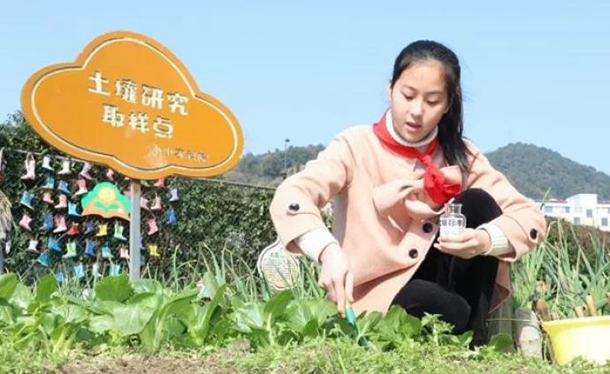 杭州富阳区首发小学生“劳动清单”，每年级设75件劳动事项