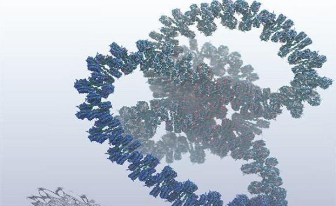 理解基因开关：美日建迄今最大DNA基因模型，含10亿原子