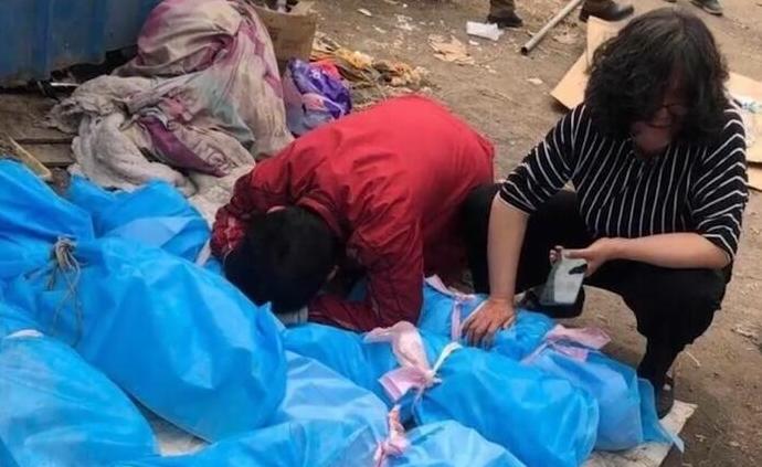 山东淄博一流浪动物救助站16只猫狗被烧死， 警方介入调查