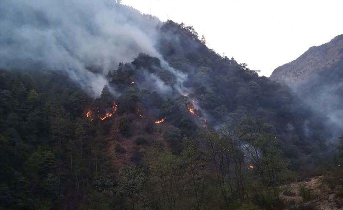 四川冕宁森林火案告破：村民熏蜂巢起火后又两次纵火转移视线