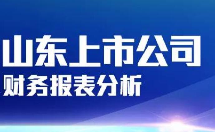 山东上市公司2018财报透视：身处资本边缘的西王置业