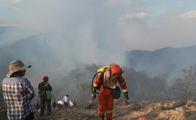 云南姚安县森林火灾系村民丢烟头引发，嫌疑人被控制