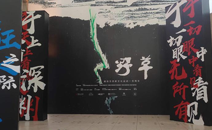 中国美院“野草”展纪念五四百年，展出多幅鲁迅作品插图原作