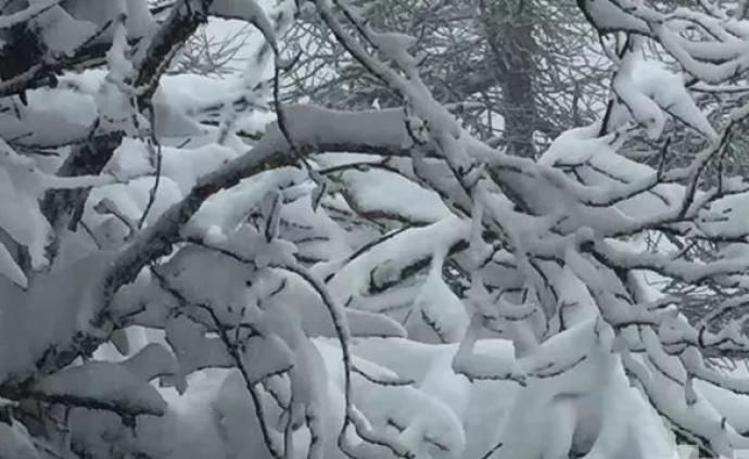 今日“立夏”：陕西太白山下雪了！积雪厚15cm气温-1℃