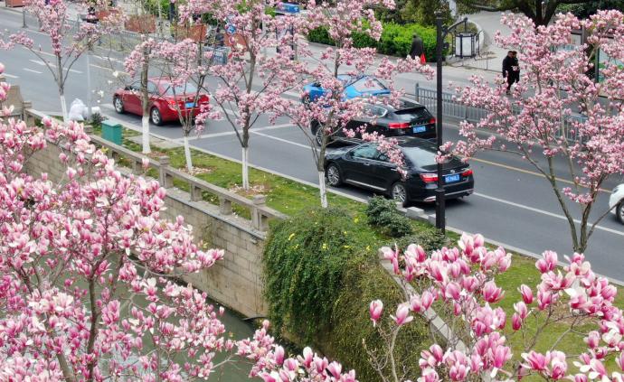 中国城市中心｜城市百问：建公园城市不是大搞公园工程