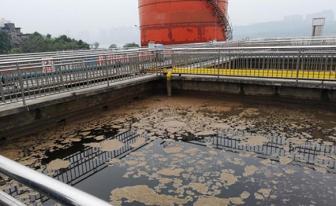 泸州老窖被中央环保督察组点名：酿酒基地污水渗排超标