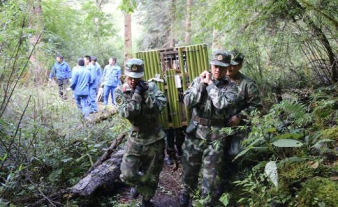 追梦火焰蓝｜守护“国宝”的森林消防队：年出动近五千人次