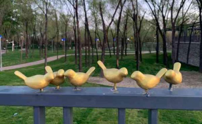世园会百余“金鸟”装饰模型仅剩17只，有些被硬生生掰下来