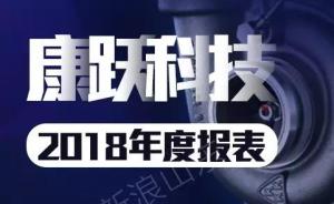 山东上市公司2018财报透视：“绝处逢生”的康跃科技