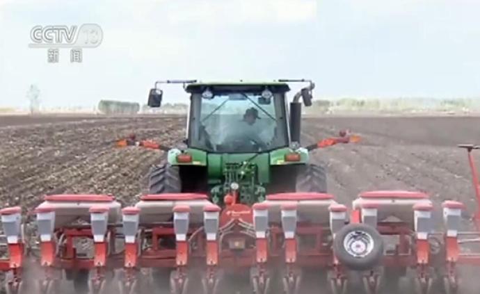 各地农民响应大豆振兴计划：今年我国大豆种植面积大幅增加