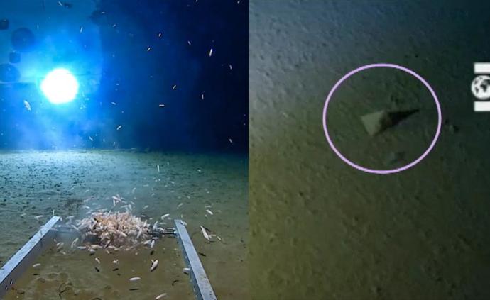 潜入海底10928米，探险家拍到了塑料袋