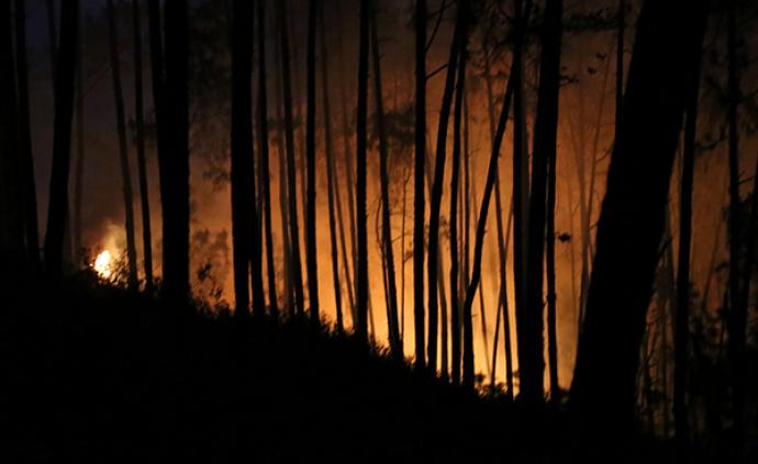 四川凉山木里县卡拉乡发生森林火灾，地表火伴有间歇性树冠火