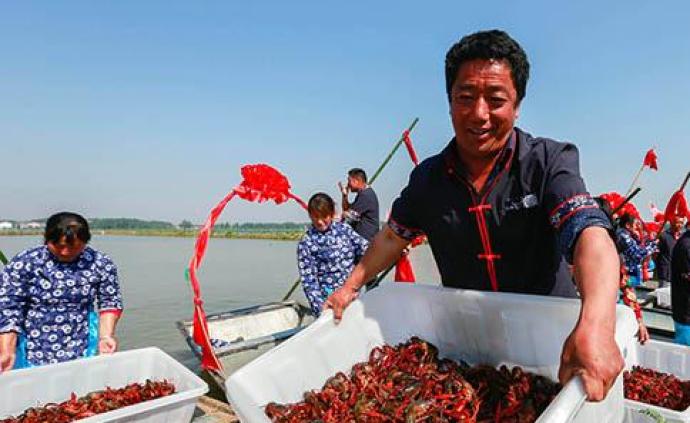 盱眙龙虾节开捕仪式举行 ，19年连续办节成国内水产金品牌