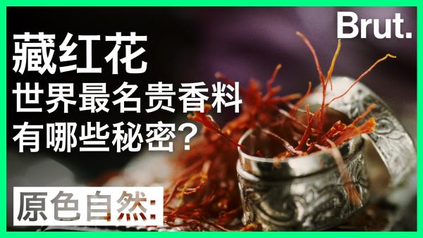 藏红花：名贵香料的背后，有哪些秘密？